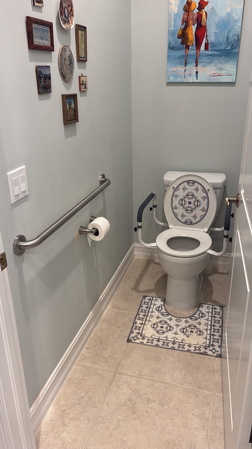 Grab bar installed beside toilet in Naples bathroom