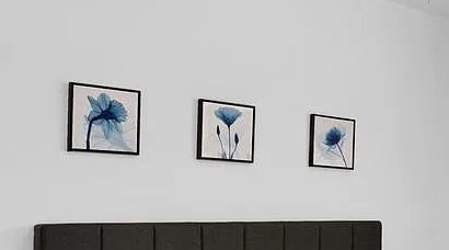 Wall mounting and picture hanging service in Naples FL